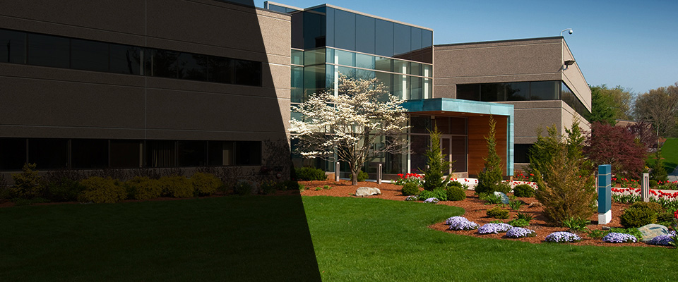 Park Ridge Landscapers