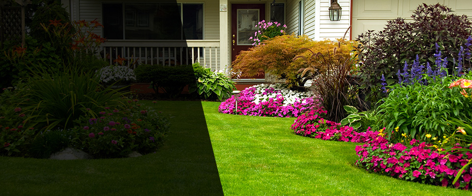 Park Ridge Landscapers