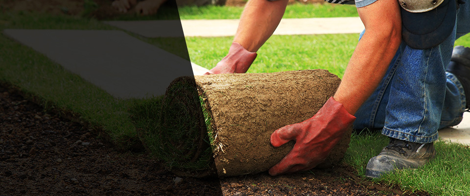 Park Ridge Landscapers